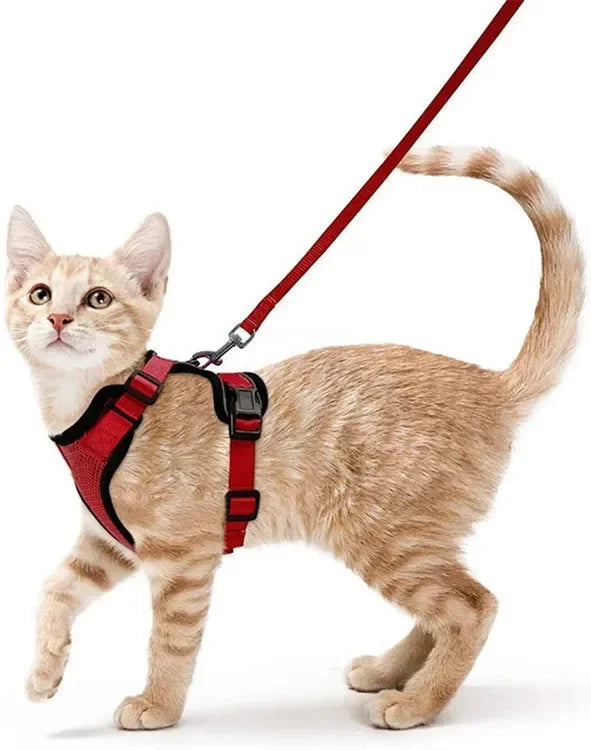 Escape Proof Cat Harness and Leash Adjustable Reflective Vest