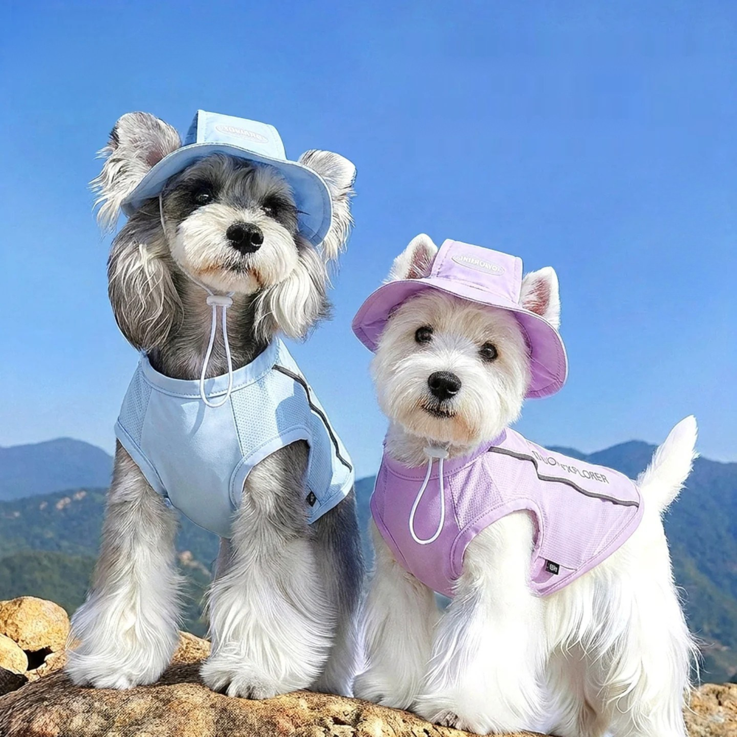 Gilet Rinfrescante Traspirante per Cani e Gatti