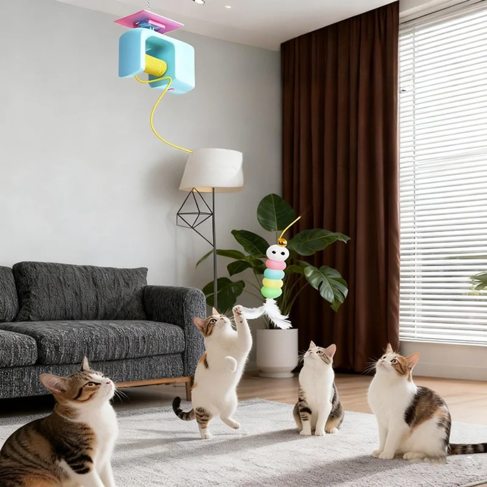 Gioco yo-yo elettrico per gatti con teaser retrattile