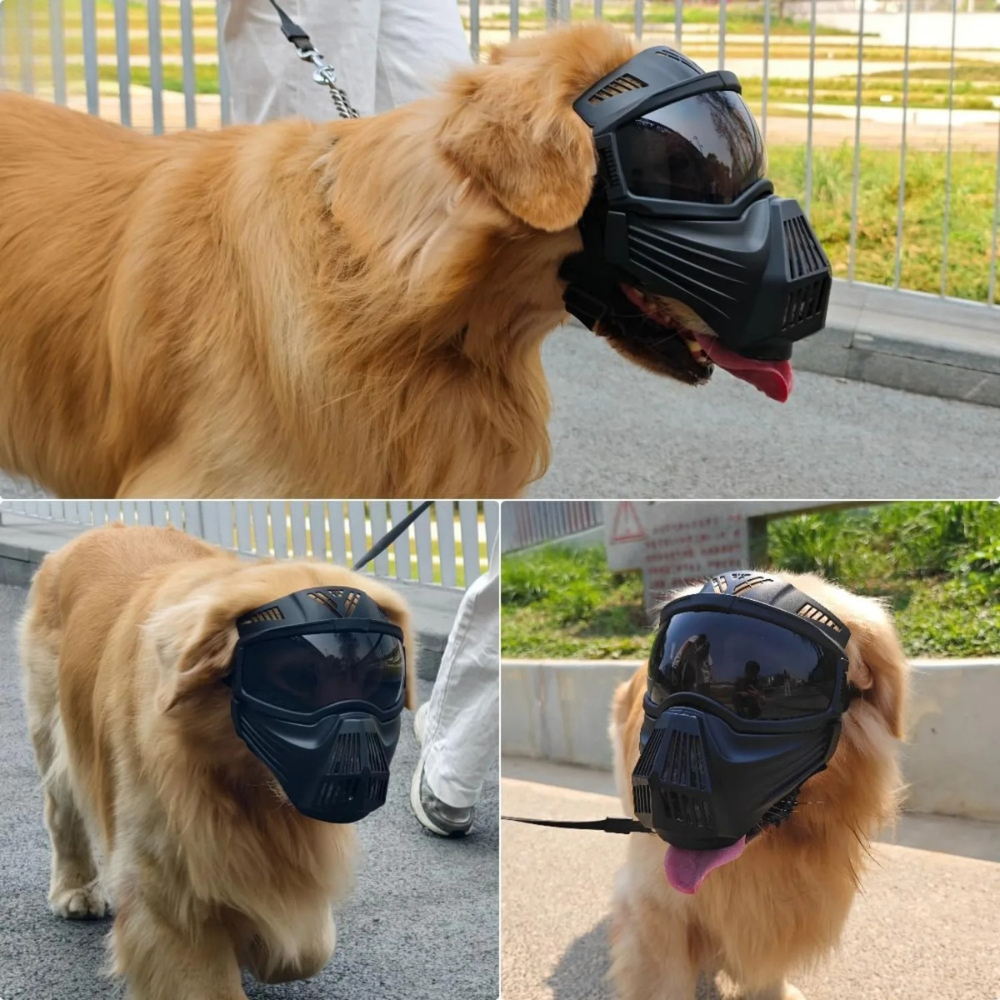 Dog Goggles UV Protection Full Face Sunglasses Windproof