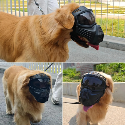 Dog Goggles UV Protection Full Face Sunglasses Windproof