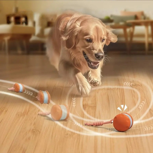 Interactive Dog Toy Ball Automatic Moving Rolling with Rope