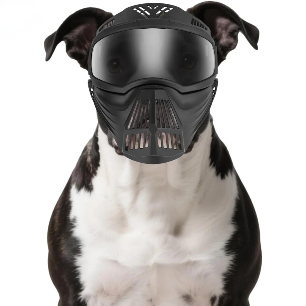 Dog Goggles UV Protection Full Face Sunglasses Windproof