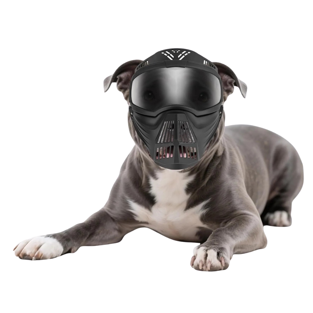 Dog Goggles UV Protection Full Face Sunglasses Windproof