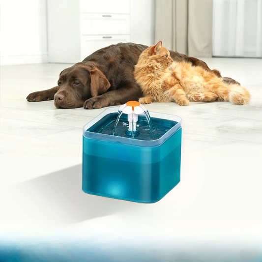 2L Cat Water Fountain LED USB Quiet Auto Filter