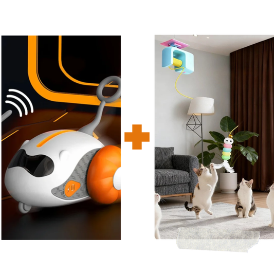 Kit Gioco Gatto – Gioco Automatico + Yo-Yo Elettrico