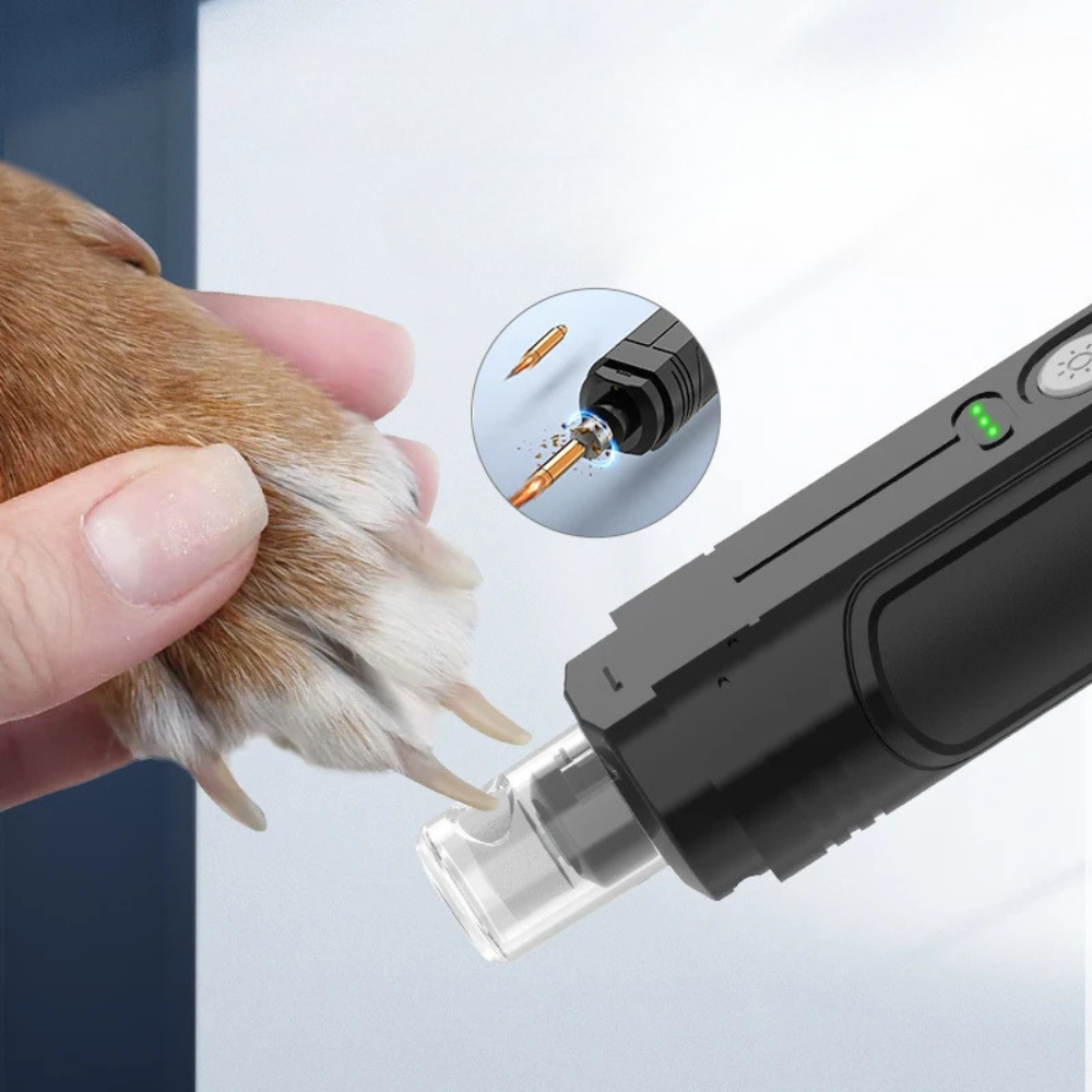 Lima Elettrica per Unghie di Cani e Gatti con Luce LED