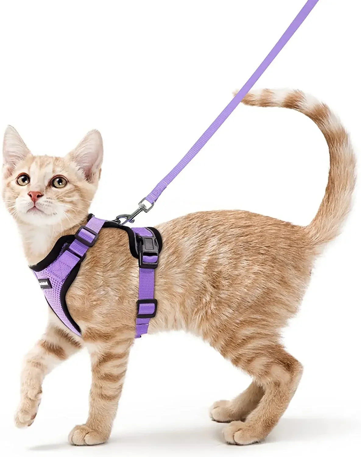 Escape Proof Cat Harness and Leash Adjustable Reflective Vest