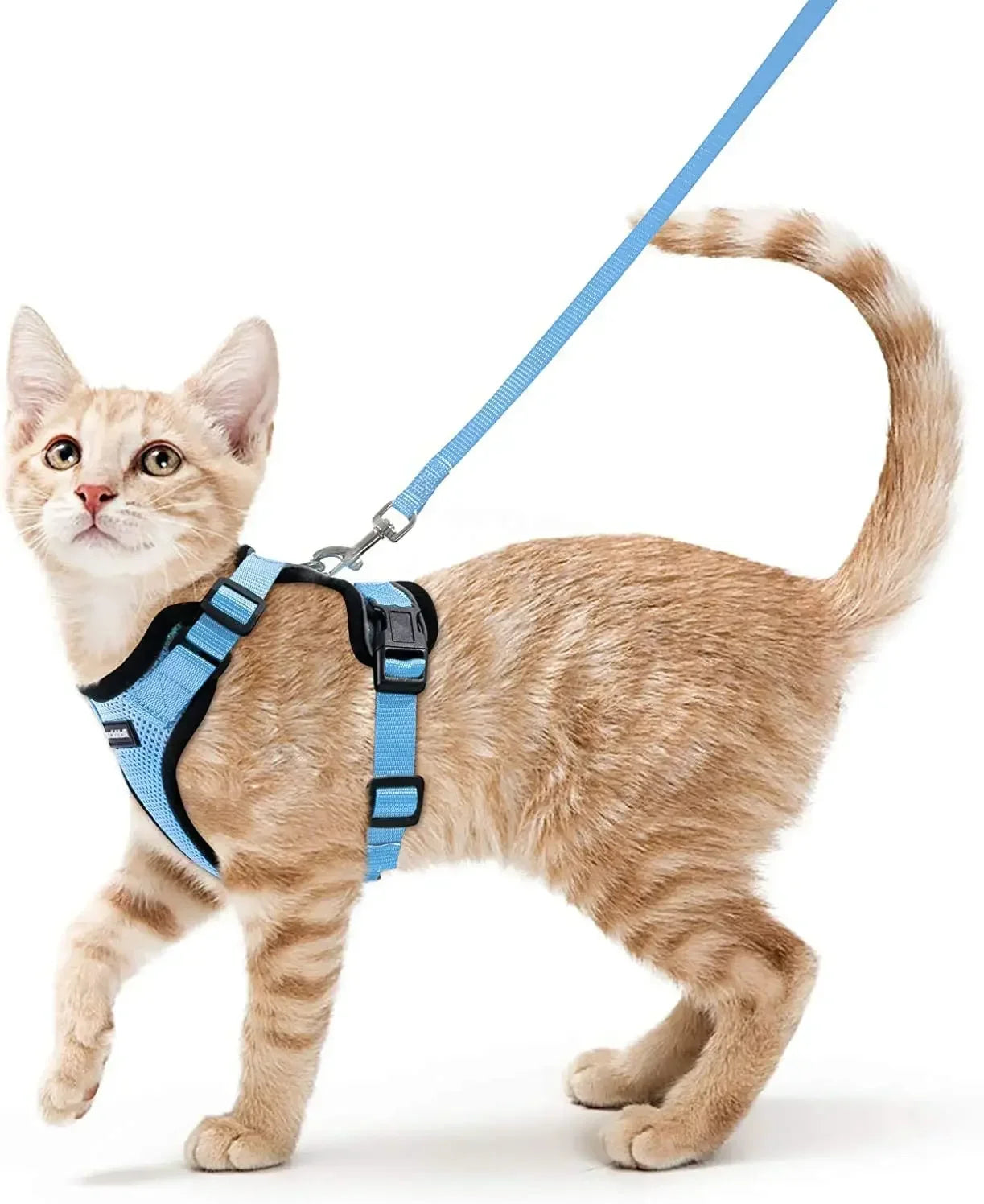 Escape Proof Cat Harness and Leash Adjustable Reflective Vest