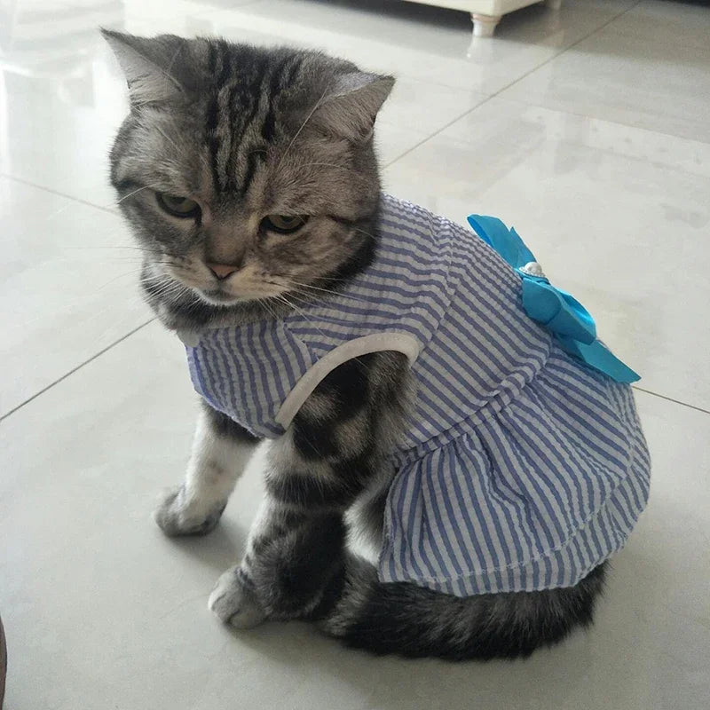 Vestito da Principessa a Righe e Quadri con Fiocco per Animali