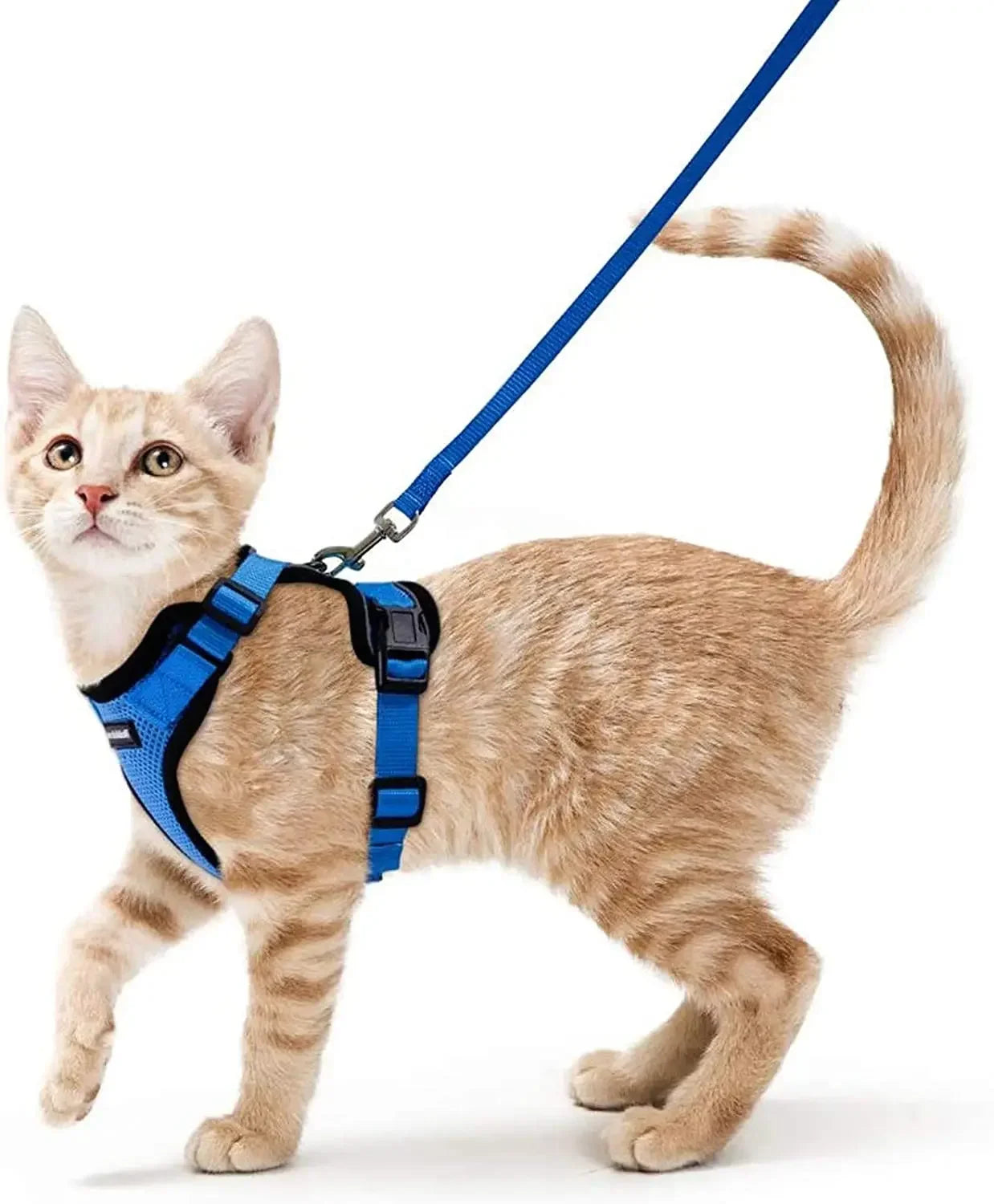 Escape Proof Cat Harness and Leash Adjustable Reflective Vest