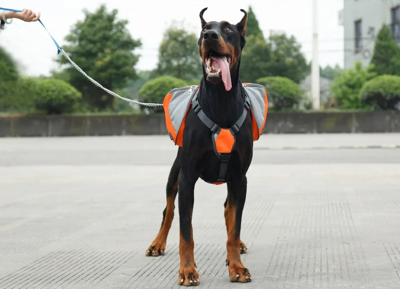 Zaino riflettente per cani con tasca portaoggetti