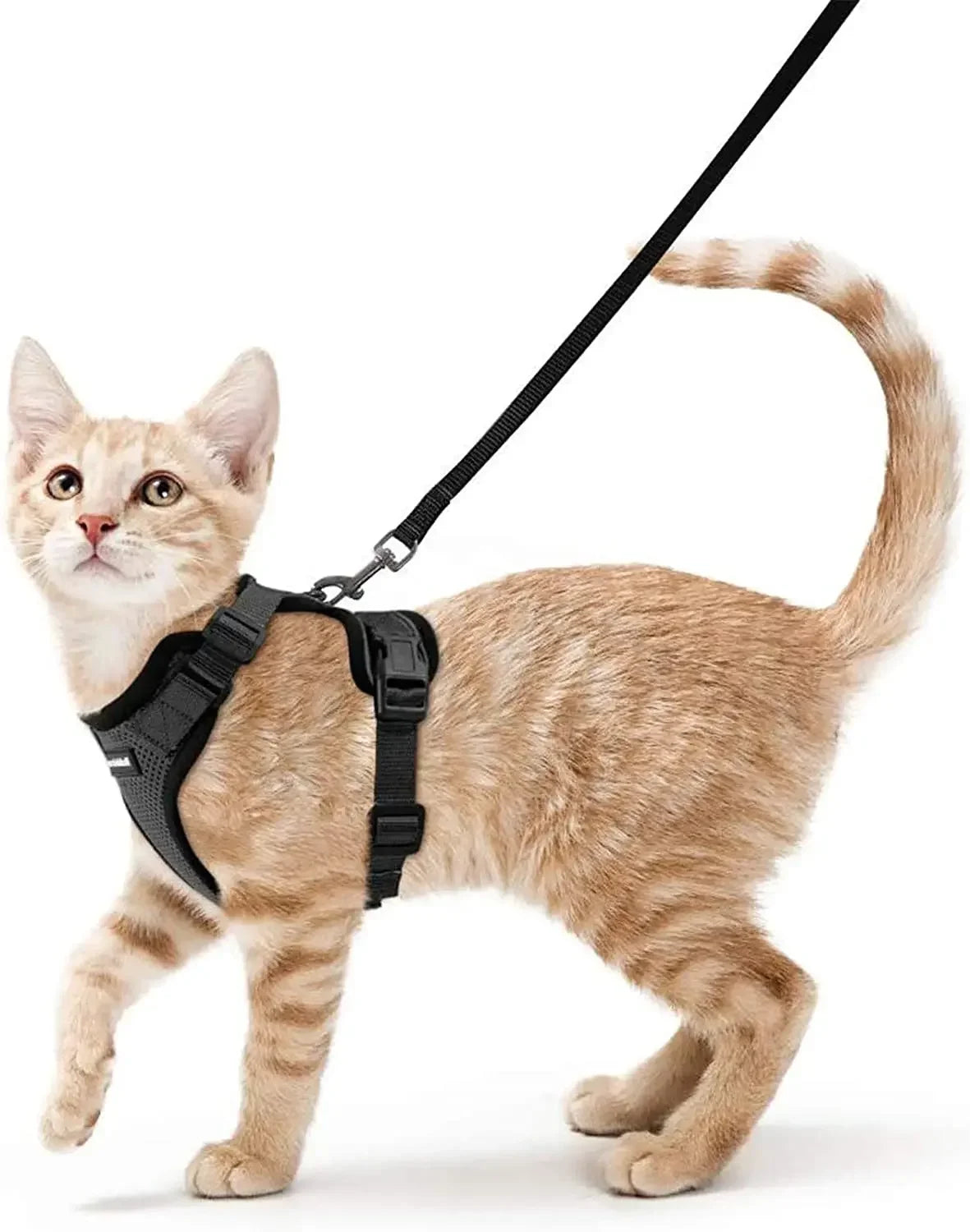 Escape Proof Cat Harness and Leash Adjustable Reflective Vest