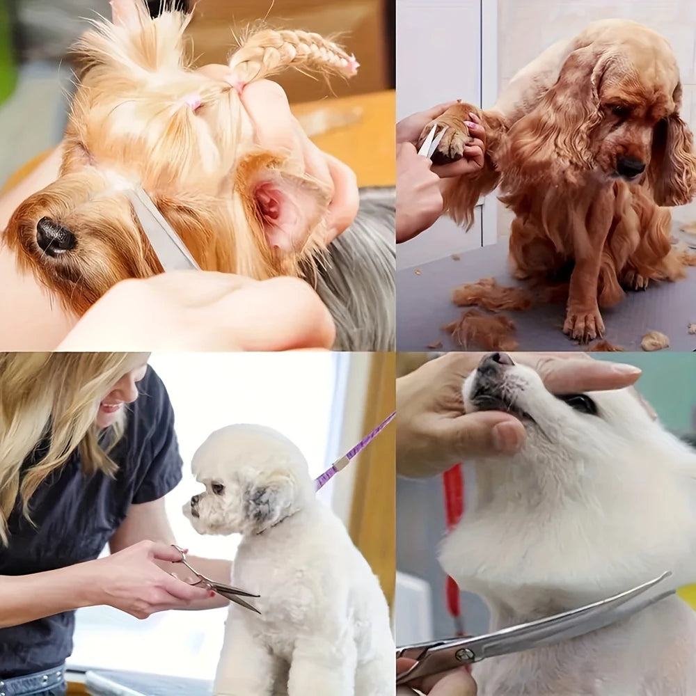 Set Professionale 7 Pezzi per Toelettatura di Cani e Gatti