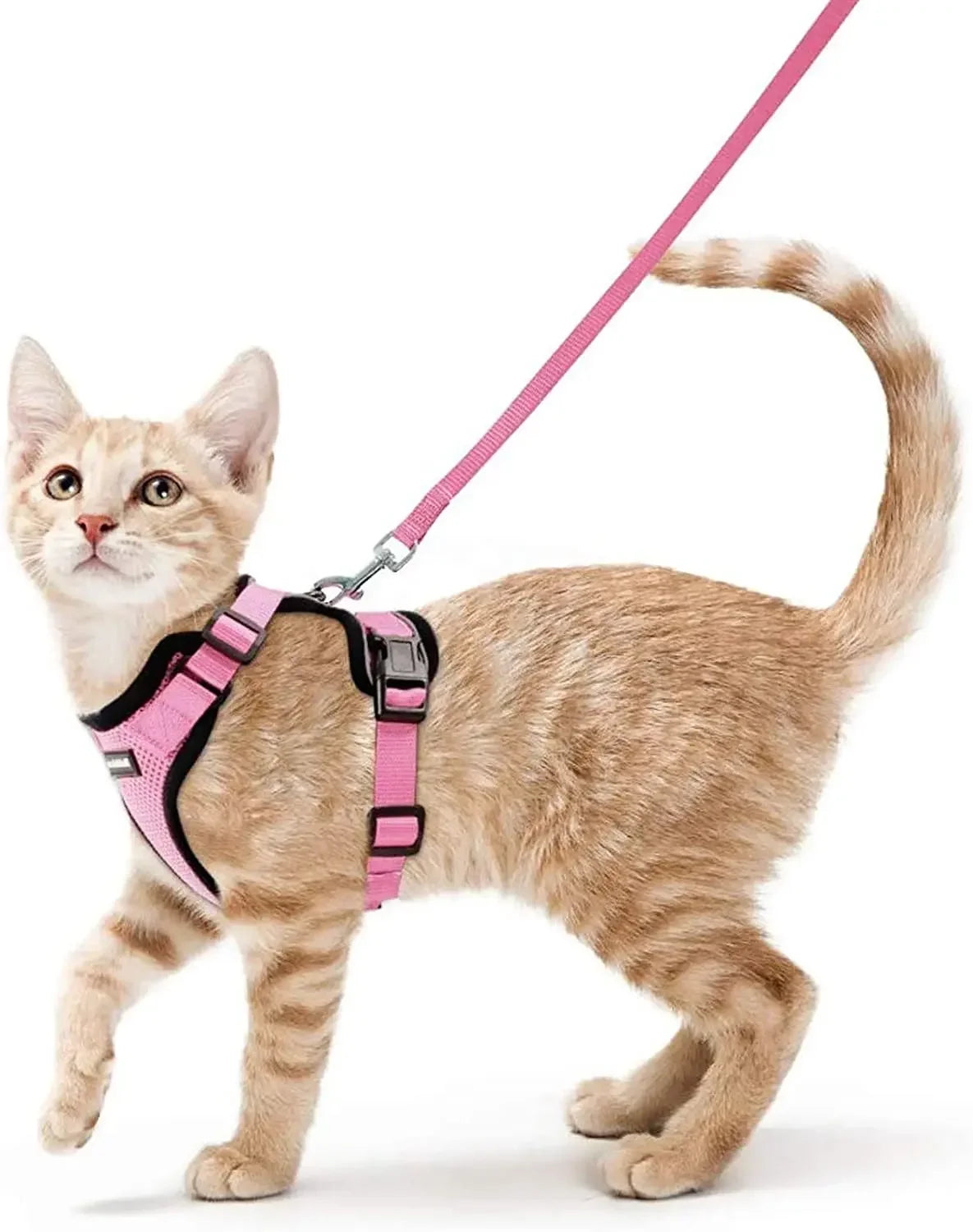 Escape Proof Cat Harness and Leash Adjustable Reflective Vest