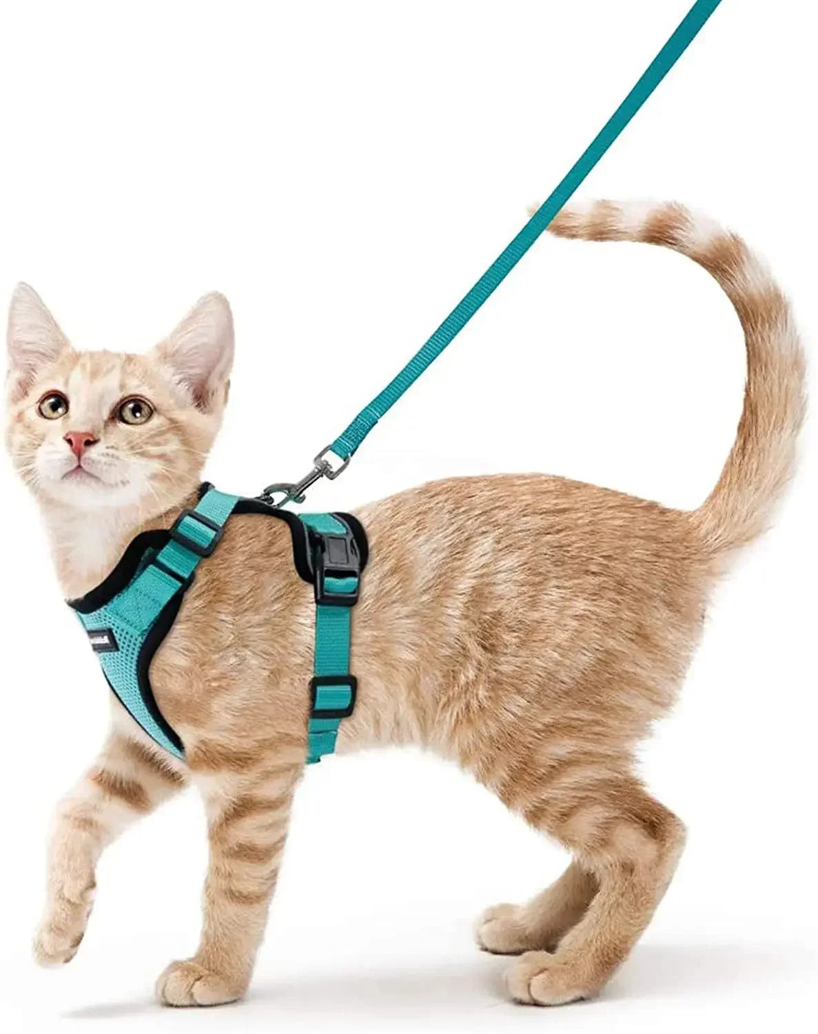 Escape Proof Cat Harness and Leash Adjustable Reflective Vest