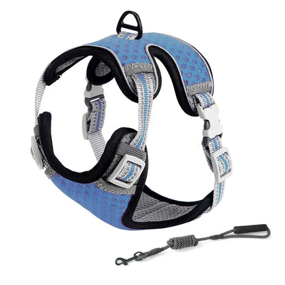 Escape Proof Cat Harness & Leash Adjustable Reflective