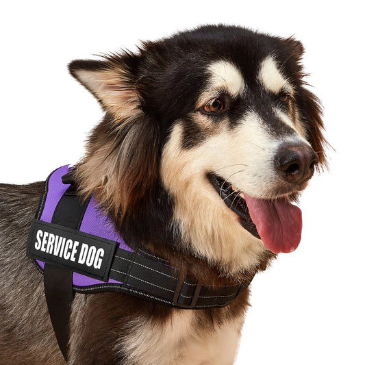 Custom Patch Dog Harness No Pull Reflective Adjustable Vest