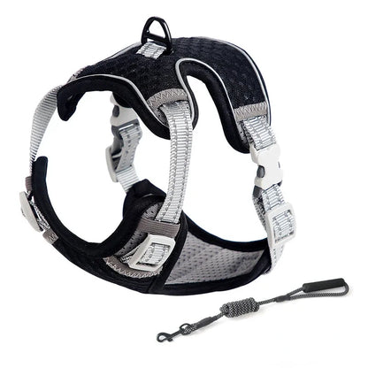 Escape Proof Cat Harness & Leash Adjustable Reflective
