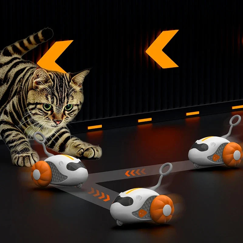 Gatto che gioca con il gioco automatico rotolante