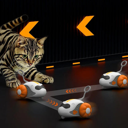 Gatto che gioca con il gioco automatico rotolante