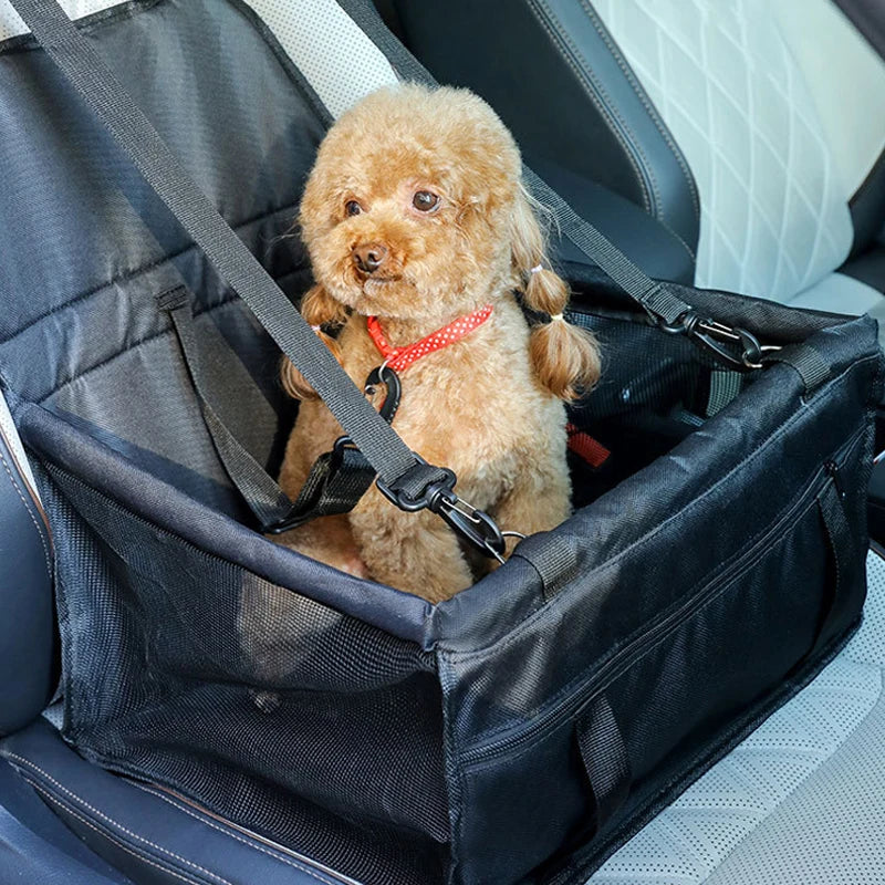 Cane seduto nel seggiolino auto Relax Form
