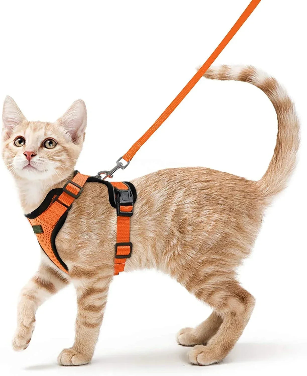 Escape Proof Cat Harness and Leash Adjustable Reflective Vest