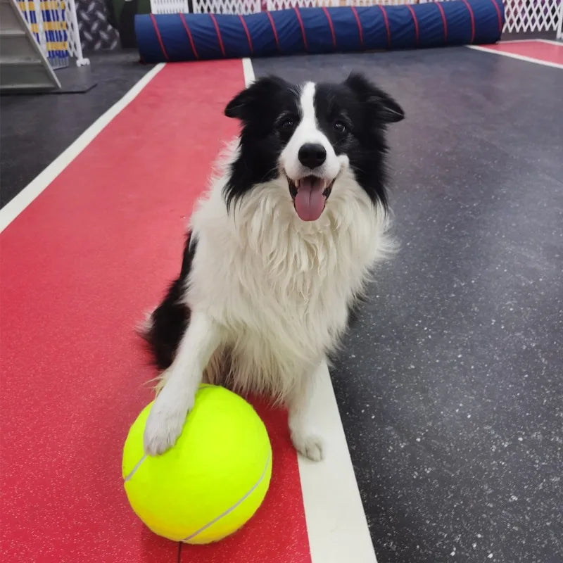 Giant Dog Tennis Ball 7 8 9.5 Inch Jumbo Chew Toy