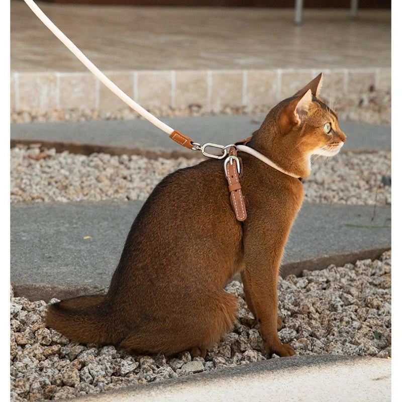 Lightweight X Shape Cat Harness Leash Set Escape Proof
