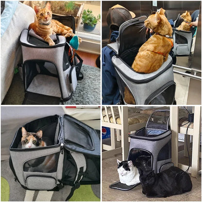 Zaino trasportino espandibile per gatti e cani piccoli fino a 6,5 kg
