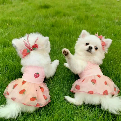 Vestito da Principessa con Fragole per Gatti e Cani di Piccola Taglia