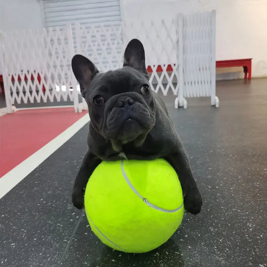Giant Dog Tennis Ball 7 8 9.5 Inch Jumbo Chew Toy