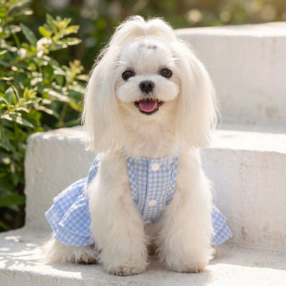 Vestito a Quadri Blu con Pettorina Integrata per Cani