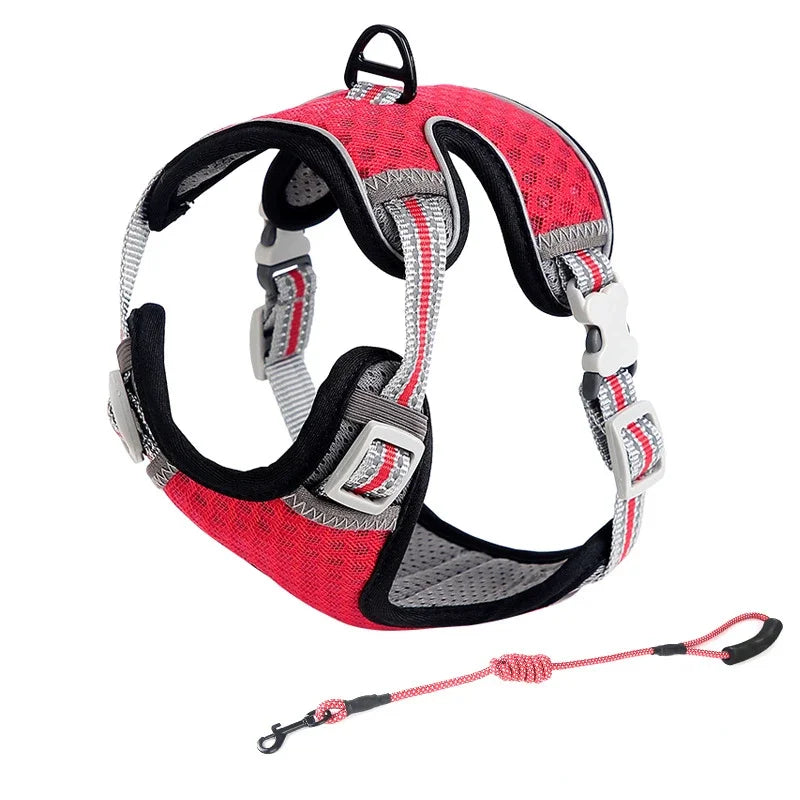 Escape Proof Cat Harness & Leash Adjustable Reflective