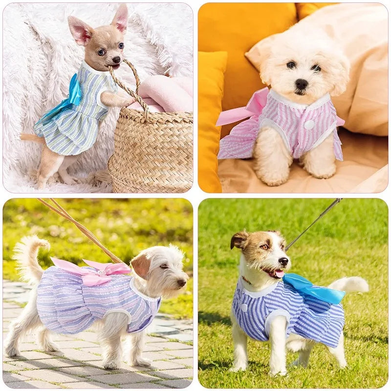 Vestito da Principessa a Righe e Quadri con Fiocco per Animali