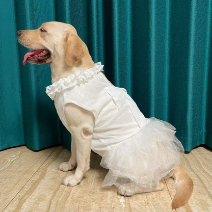 Abito da Sposa Estivo per Cani di Taglia Grande