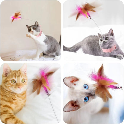Cat Feather Collar Toy Interactive Self Play Teaser