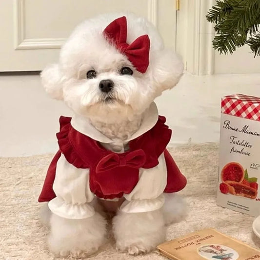Cappottino invernale elegante per cani di piccola taglia