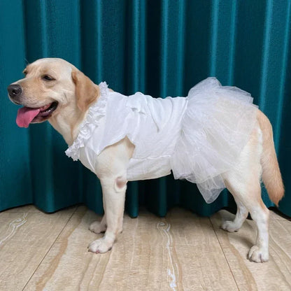 Abito da Sposa Estivo per Cani di Taglia Grande