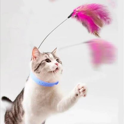 Cat Feather Collar Toy Interactive Self Play Teaser