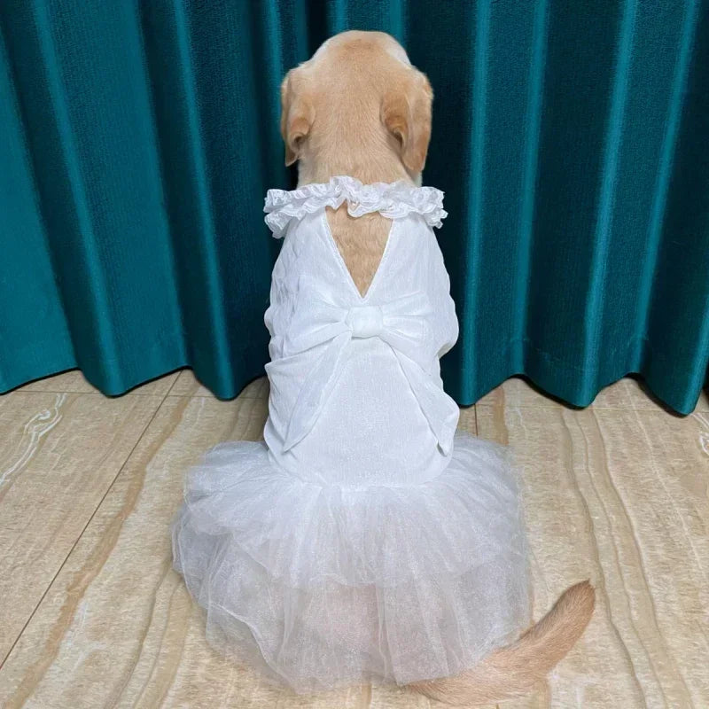 Abito da Sposa Estivo per Cani di Taglia Grande