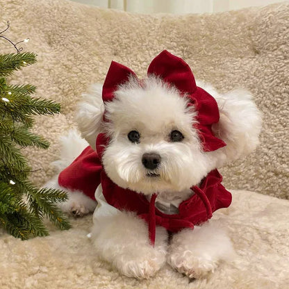 Cappottino invernale elegante per cani di piccola taglia