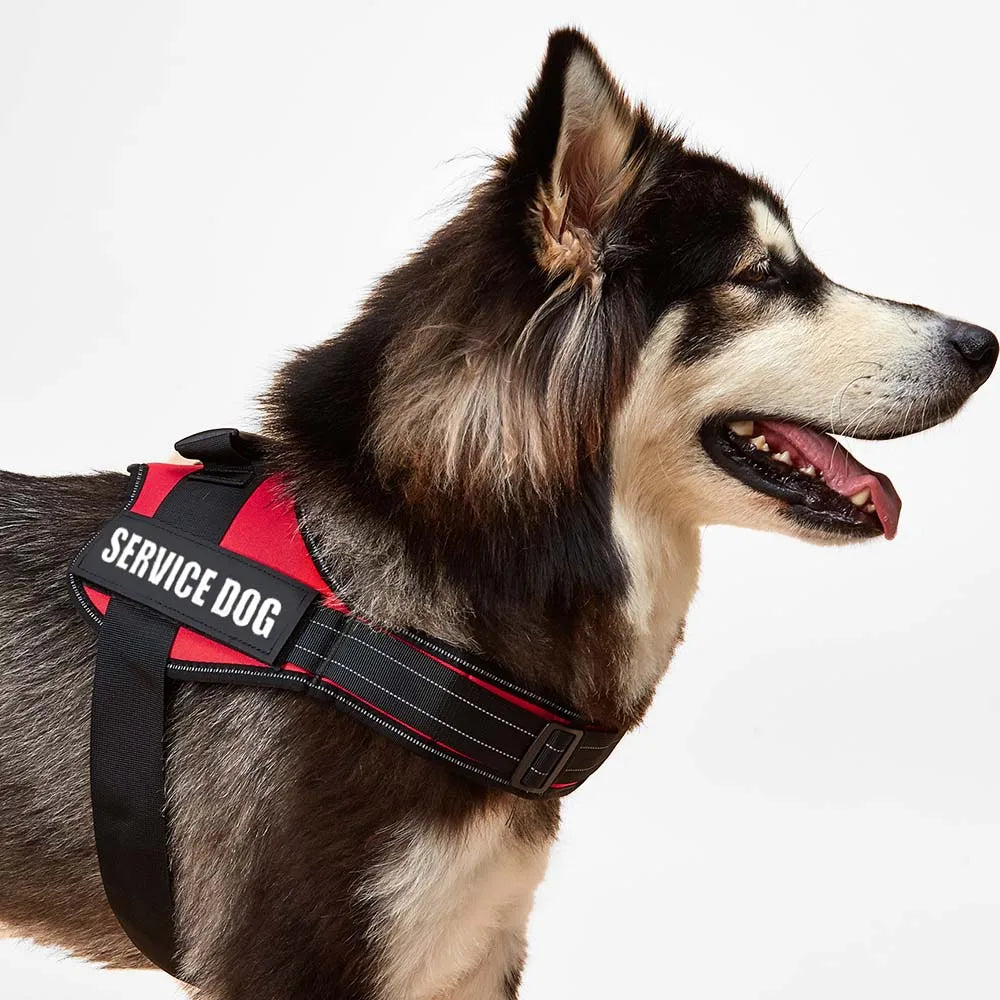 Custom Patch Dog Harness No Pull Reflective Adjustable Vest