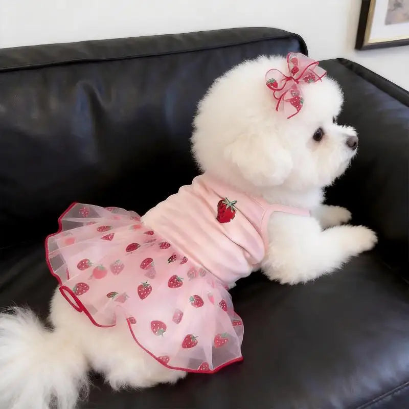 Vestito da Principessa con Fragole per Gatti e Cani di Piccola Taglia