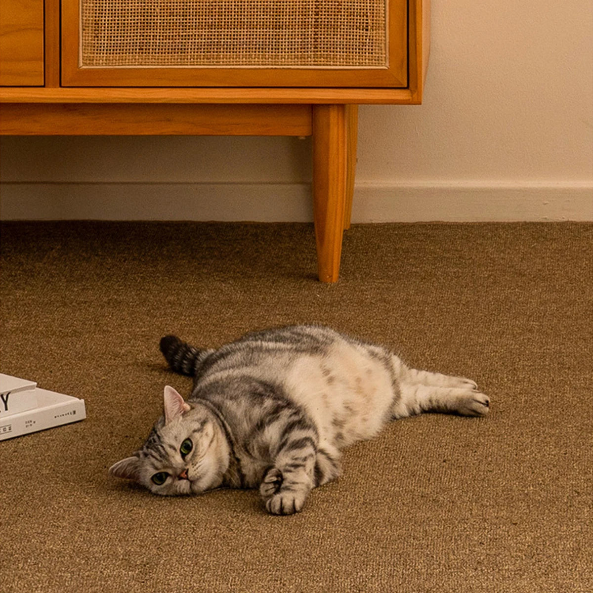 Large Cat Scratching Mat Carpet Non Slip Sofa Protector