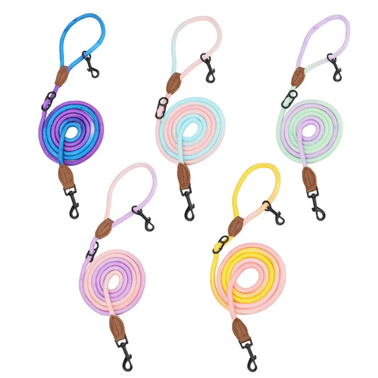 Hands Free Dog Leash Adjustable Crossbody Double Leash