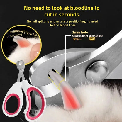 Kit Completo per Toelettatura di Gatti con Forbici e Pettini