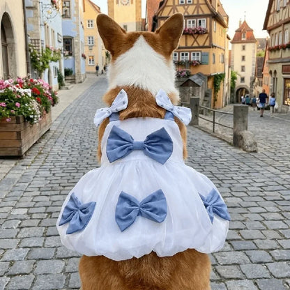 Vestito da Principessa Traspirante con Fiocco per Cani