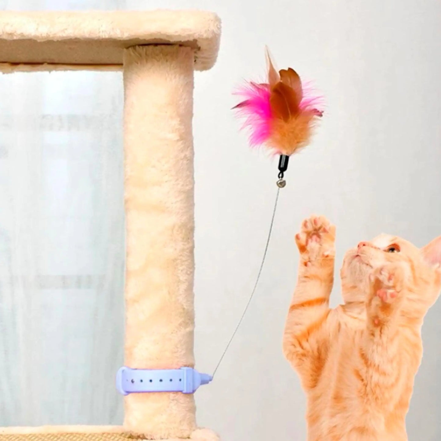 Cat Feather Collar Toy Interactive Self Play Teaser