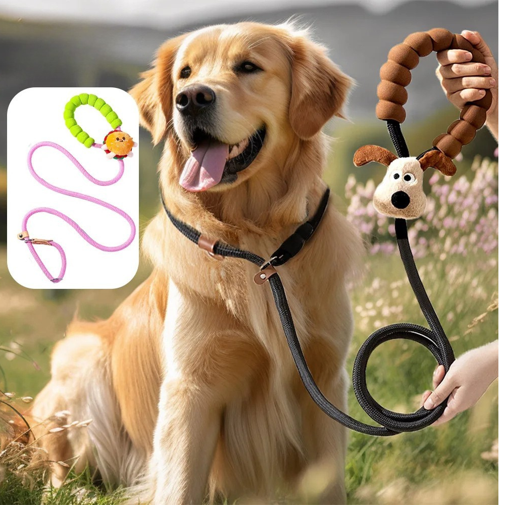 Thicker Pet Dog Training Nylon Rope Chain Collar & Leash